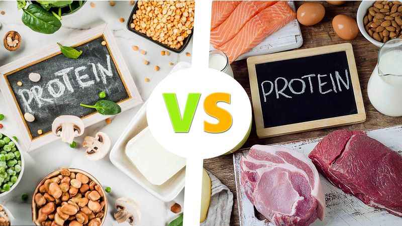 Chất đạm có trong thực phẩm nào