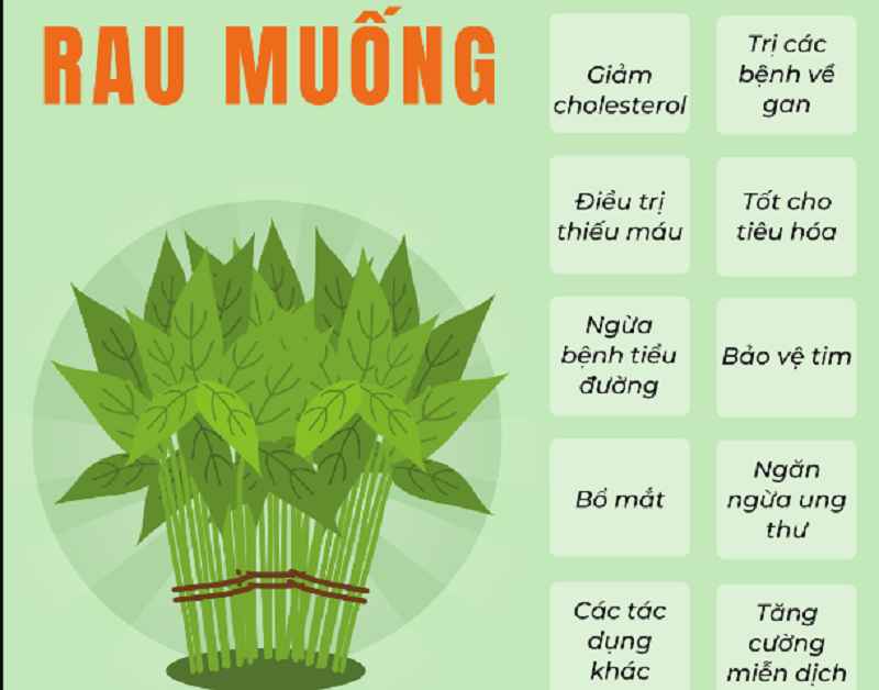 Khám phá thành phần dinh dưỡng của rau muống